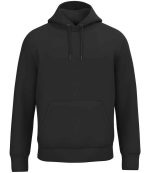 Native Spirit Unisex Hooded Sweatshirt NS444