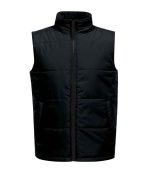Regatta Professional Mens Regatta Access Insulated Bodywarmer RG629